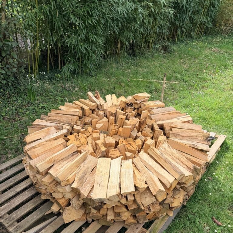-5805522361208475218_121